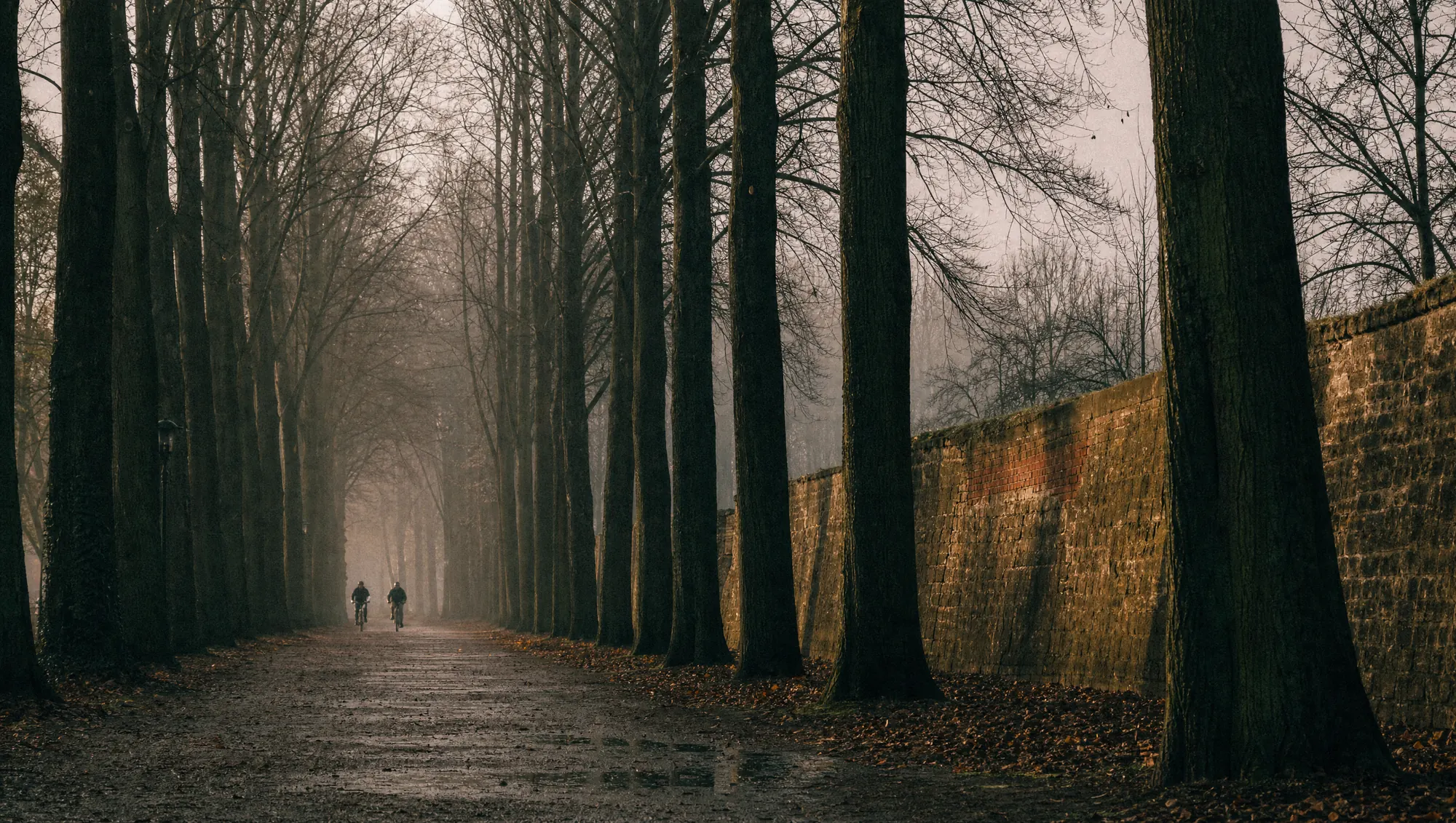 Die Promenade in Münster: breiter Kiesweg unter einer doppelten Lindenallee im Herbstnebel.